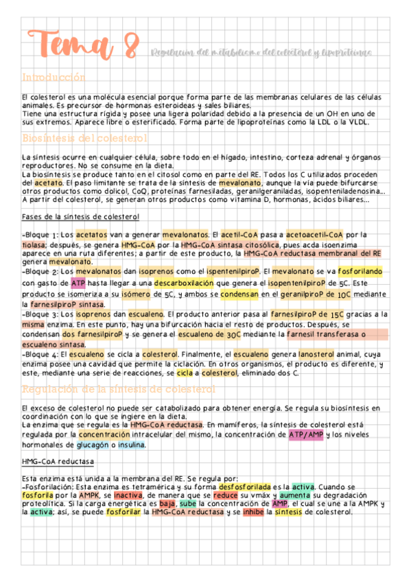 Miniatura del documento Tema-8-Regulacion-del-metabolismo-del-colesterol-y-lipoproteinas.pdf