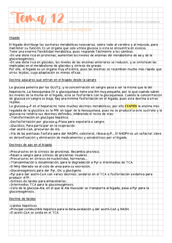 Miniatura del documento Tema-12-Integracion-del-metabolismo-y-adaptacion-metabolica-a-distintas-situaciones-fisiopatologicas.pdf