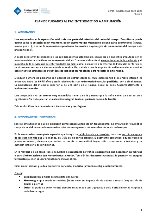 Miniatura del documento ADULT-IV-TEMA-6.pdf