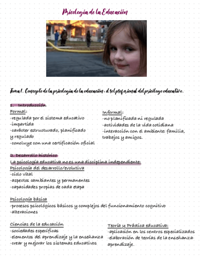 Miniatura del documento Psicologia-De-La-Educacion.pdf