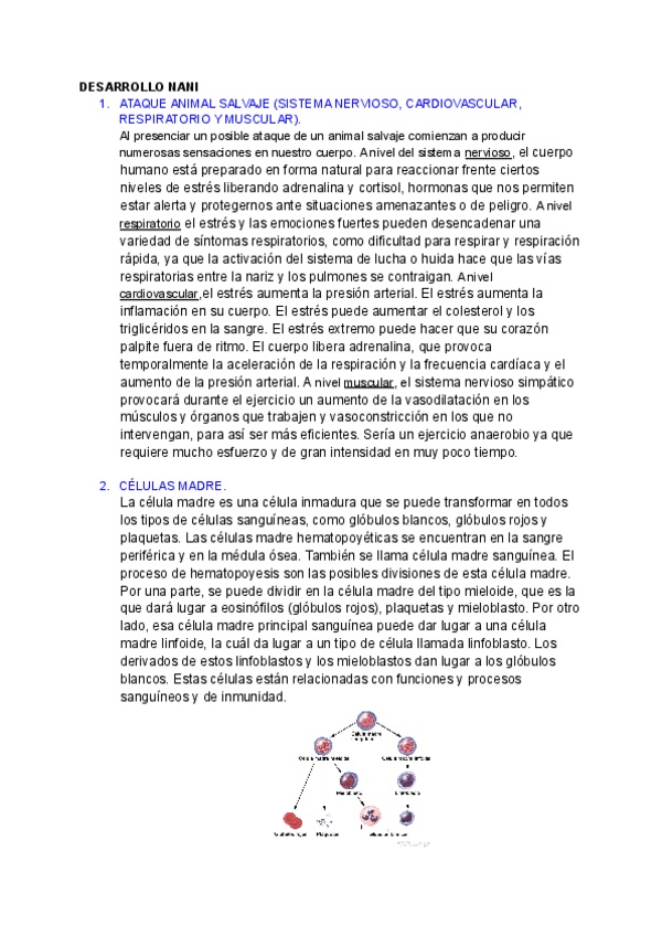 Miniatura del documento DESARROLLO-NANI.pdf
