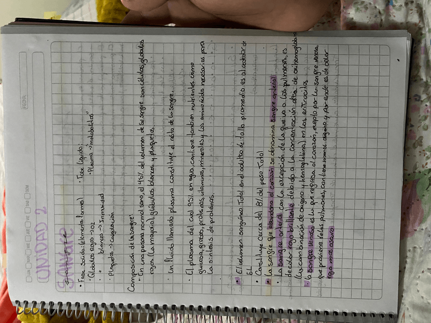 Miniatura del documento IMG9278.jpeg