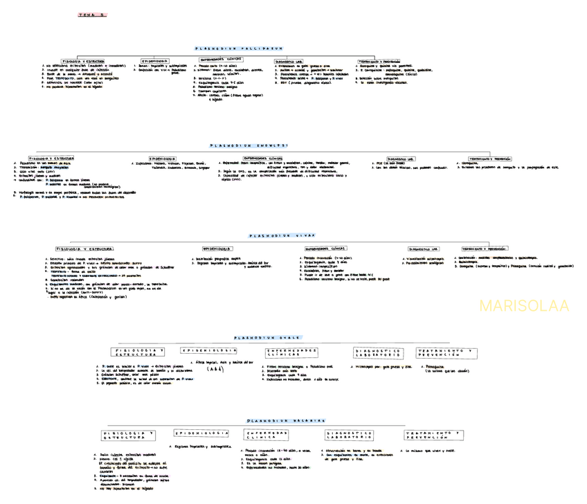 Miniatura del documento Plasmodium.pdf