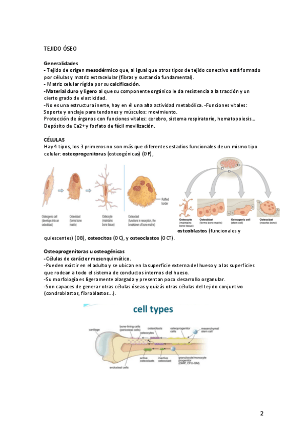 Miniatura del documento 12-TEJIDO-OSEO.pdf