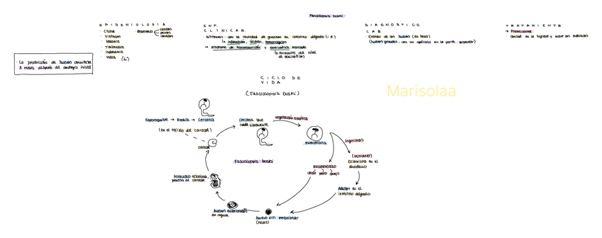 Miniatura del documento Fasciolopsis-buski.pdf