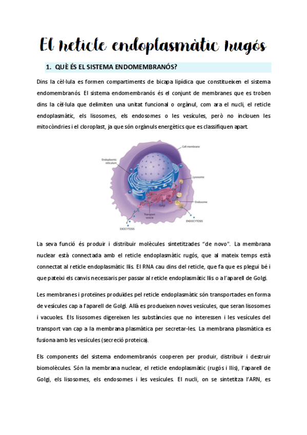 Miniatura del documento Tema-3-El-sistema-endomembranos.pdf