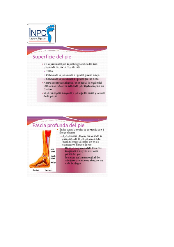 Miniatura del documento Original-manual-de-podologia-clinica-15.pdf