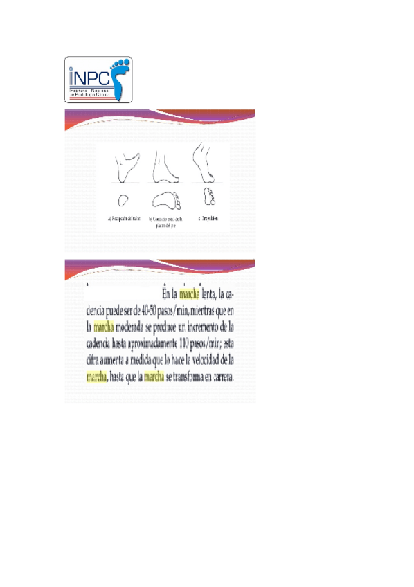 Miniatura del documento Original-manual-de-podologia-clinica-16.pdf