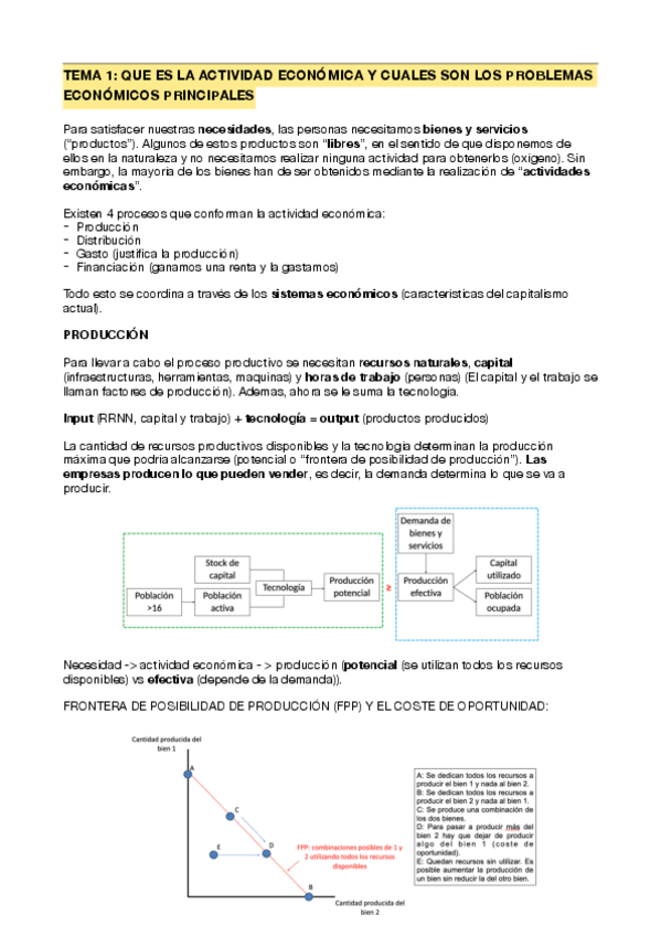 Miniatura del documento TEMAS-1-6.pdf
