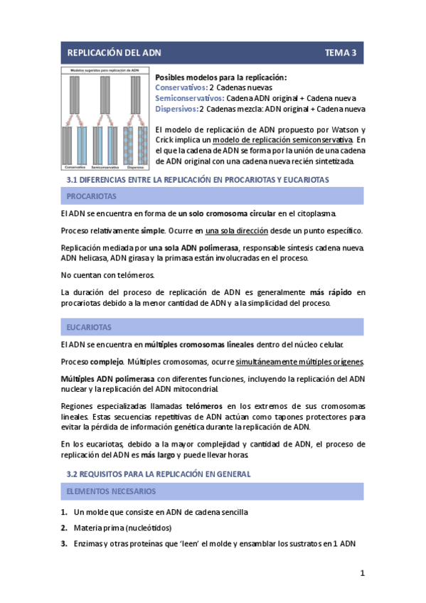 Miniatura del documento T3-REPLICACION-ADN.pdf