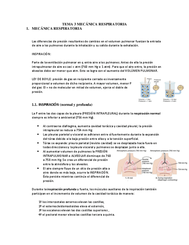 Miniatura del documento TEMA-3-BLOQUE-III.pdf