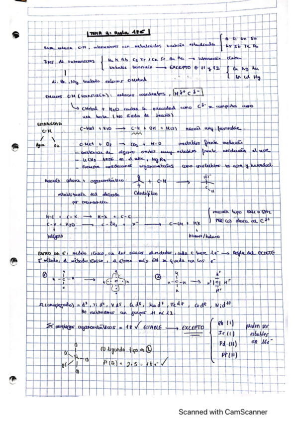 Miniatura del documento Apuntes-T2yT3-Organomet..pdf