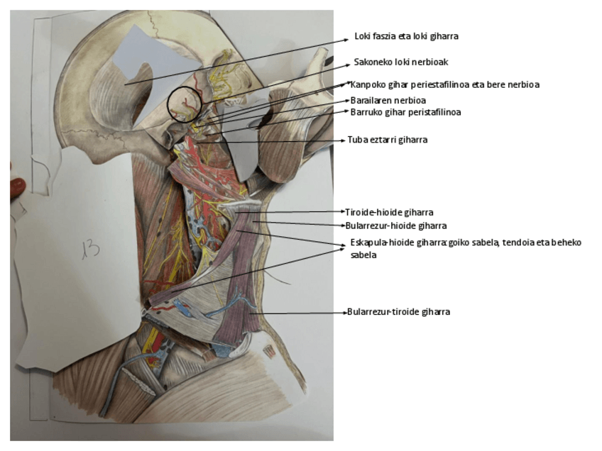 Miniatura del documento Burua-eta-iduna.pdf
