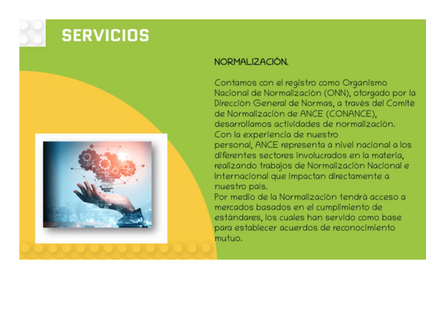 Miniatura del documento ANCE-servicios-nrmalizacion.pdf