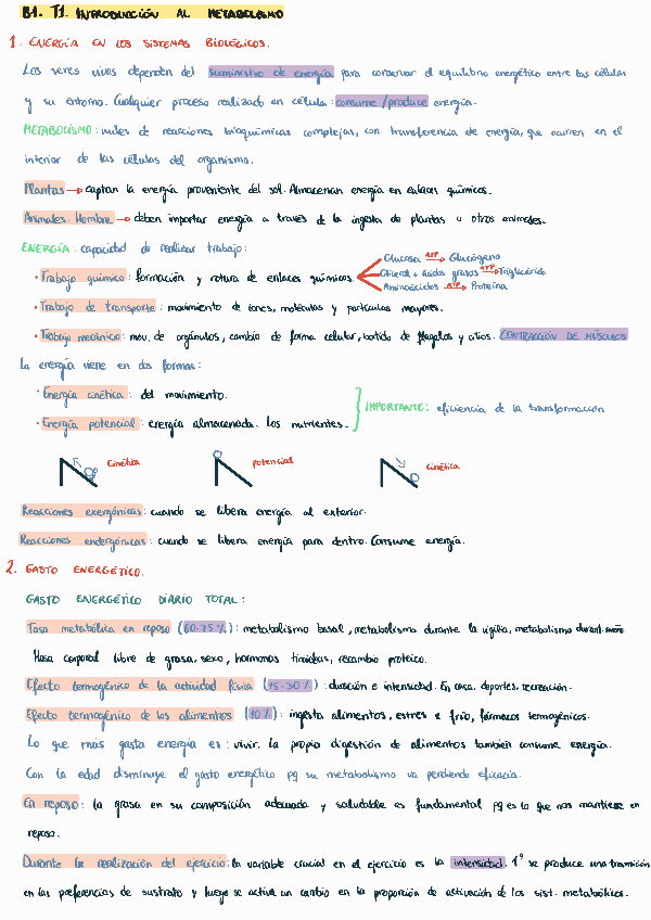 Miniatura del documento Apuntes-fisiologia-unido.pdf
