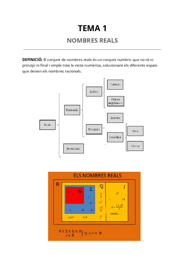 Miniatura del documento TEMA-1-Nombres-reals.pdf