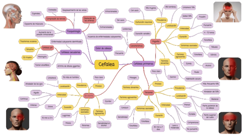 Miniatura del documento Cefalea-Mapa-conceptual.pdf