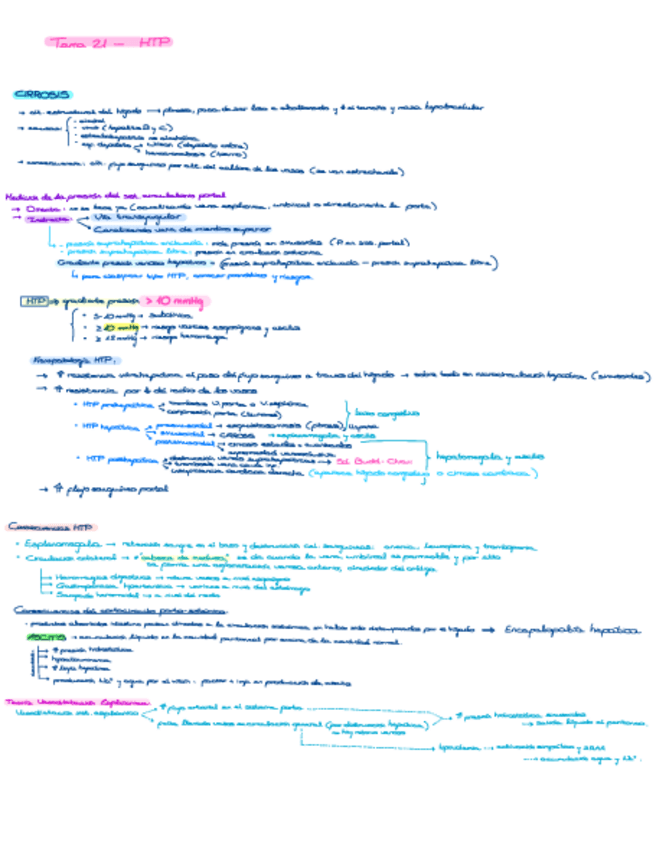 Miniatura del documento Hipertension-portal.pdf