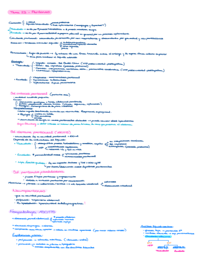 Miniatura del documento Peritoneo.pdf