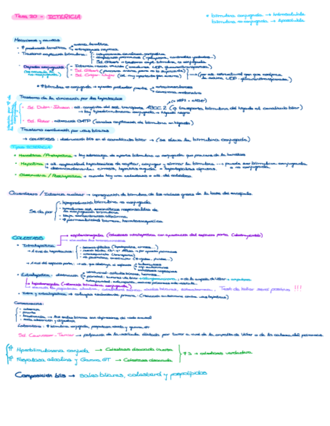 Miniatura del documento Ictericia.pdf