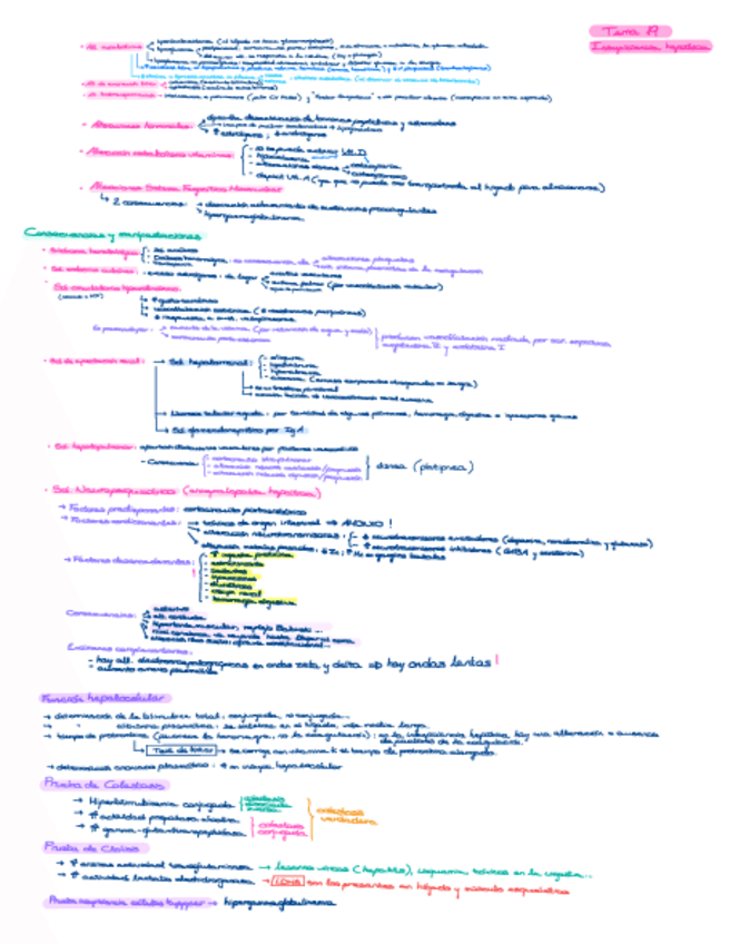 Miniatura del documento Insuficiencia-hepatica.pdf