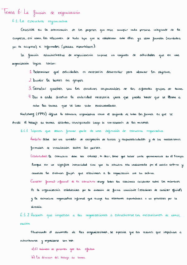 Miniatura del documento Tema-6LaFunciondeOrganizacion.pdf