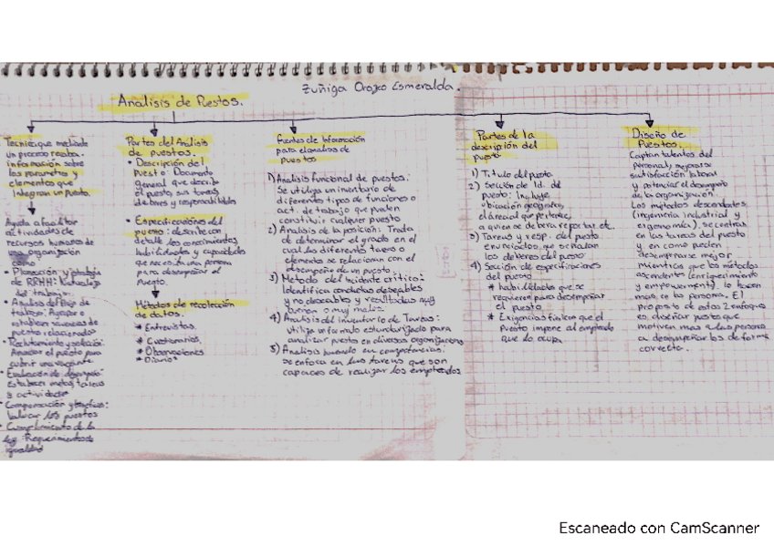 Miniatura del documento Analisis-de-puestos.pdf