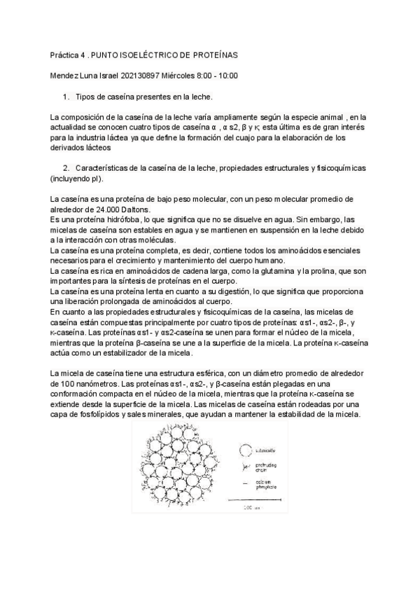 Miniatura del documento Cuestionario-PUNTO-ISOELECTRICO-DE-PROTEINAS.pdf
