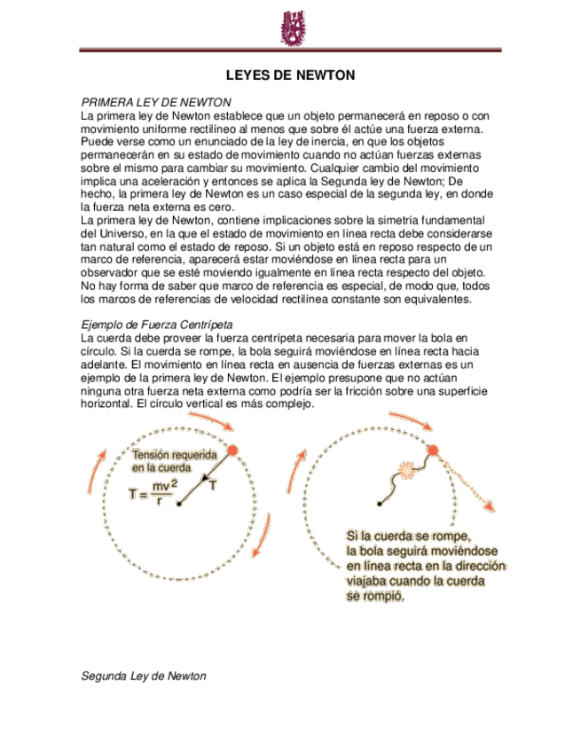 Miniatura del documento LEYES-DE-NEWTON.pdf