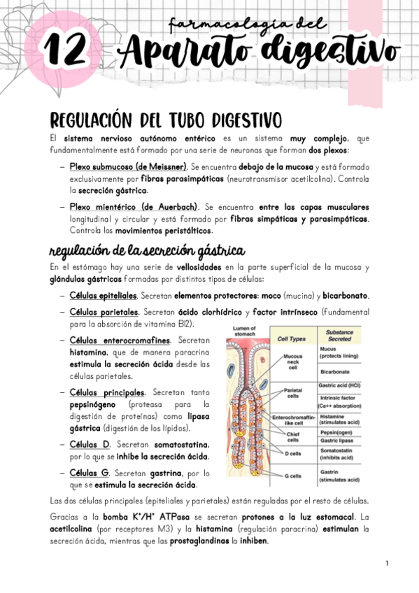 Miniatura del documento Tema-12.-Farmacologia-del-aparato-digestivo.pdf
