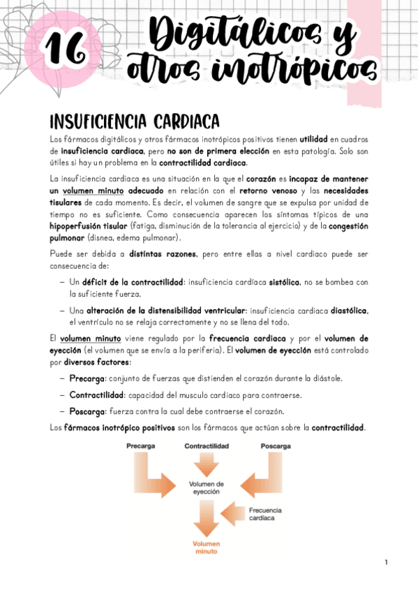 Miniatura del documento Tema-16.-Farmacos-digitalicos-y-otros-inotropicos.pdf