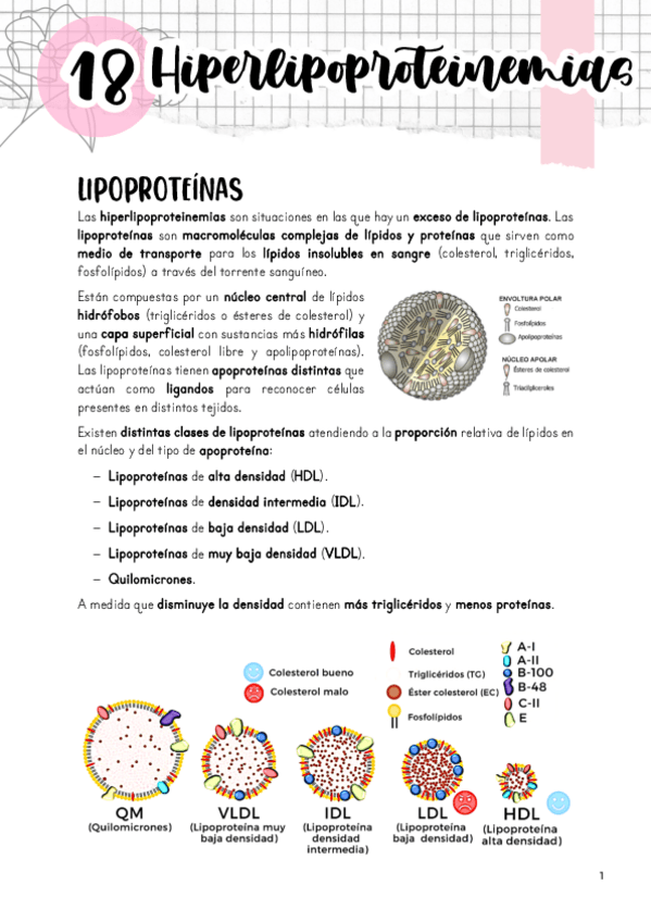 Miniatura del documento Tema-18.-Hiperlipoproteinemias.pdf