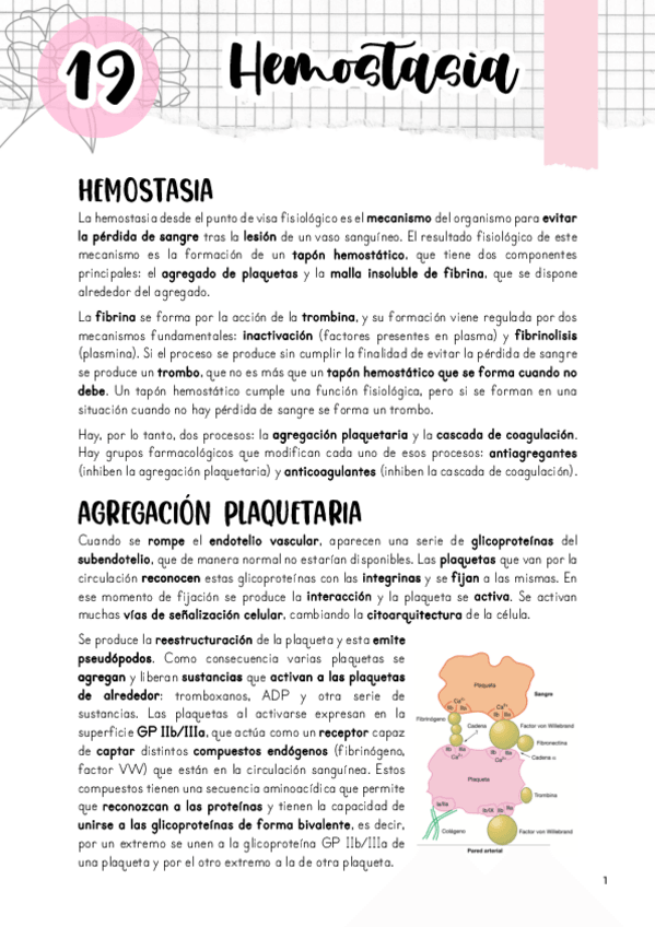 Miniatura del documento Tema-19.-Farmacologia-de-la-hemostasia.pdf