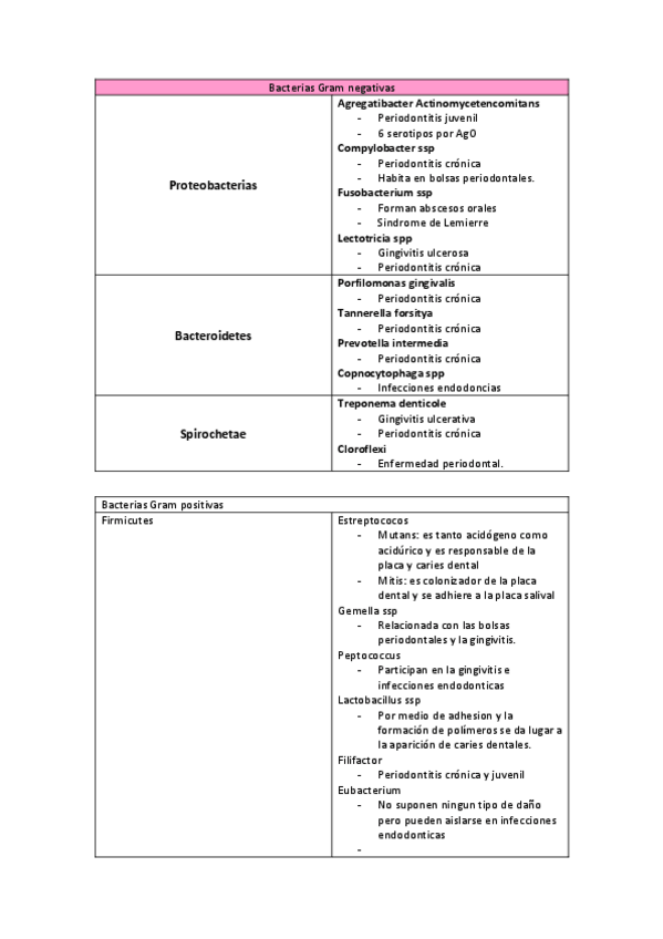 Miniatura del documento Bacterias-Gram-negativas.pdf