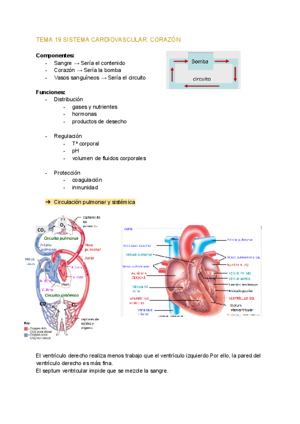 Miniatura del documento Fisio-2o-cuatri-todo.pdf