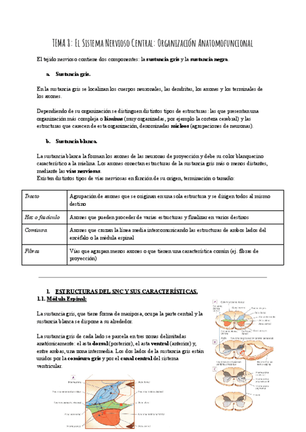 Miniatura del documento TEMAS-8-al-14-PSICOBIO.pdf