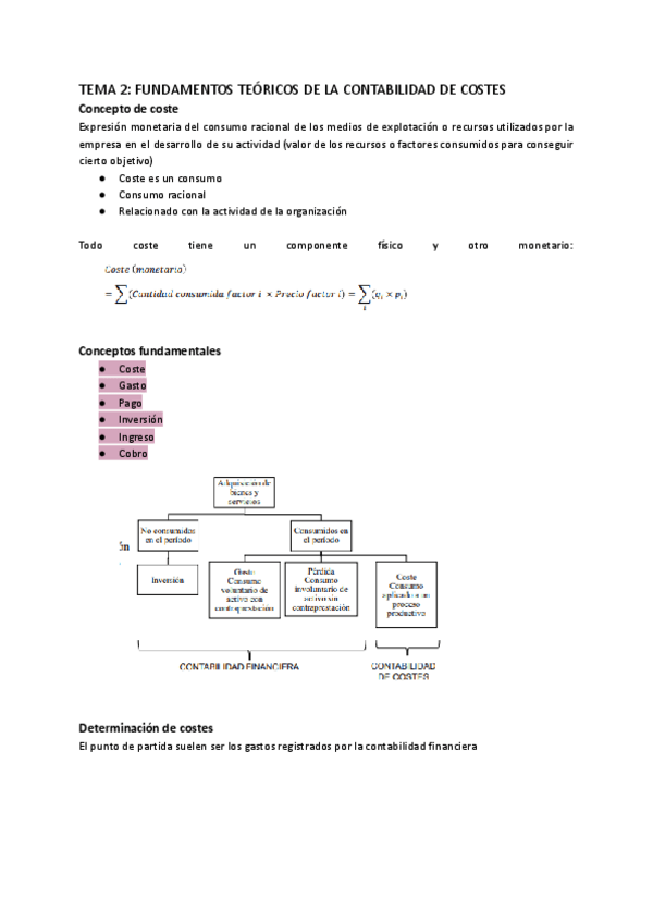 Miniatura del documento Contabilidad-de-xestion-Tema-2.pdf