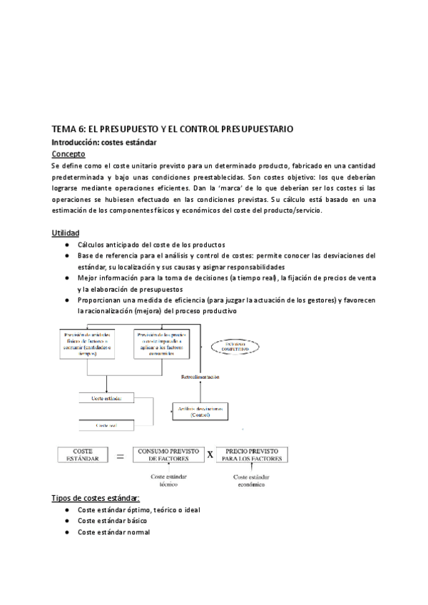 Miniatura del documento Contabilidad-de-xestion-Tema-6.pdf