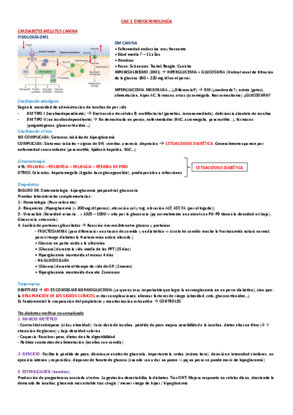 Miniatura del documento CM-CAC-I-ENDOCRINOLOGIA.pdf