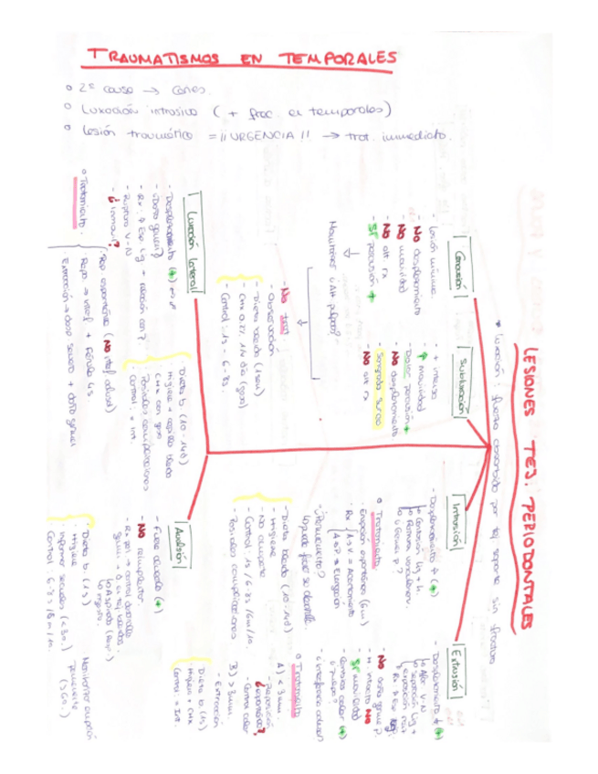 Miniatura del documento Traumatismos-temporales.pdf