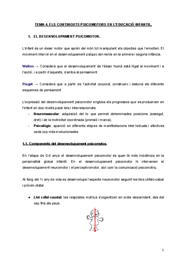 Miniatura del documento TEMA-4.-ELS-CONTINGUTS-PSICOMOTORS-EN-LEDUCACIO-INFANTIL.pdf