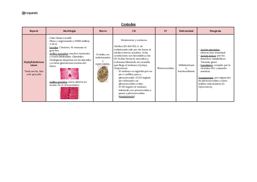 Miniatura del documento Tablas cestodos.pdf