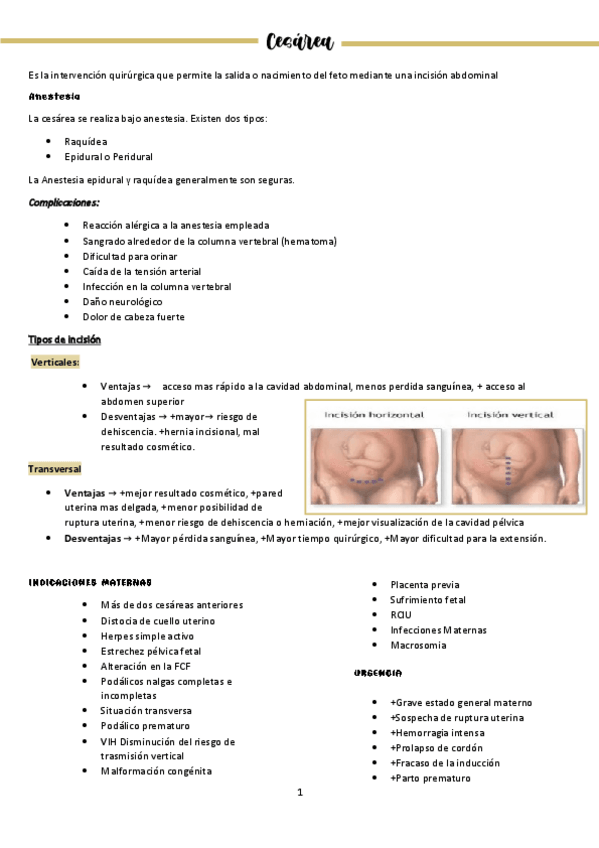 Miniatura del documento Cesarea.pdf