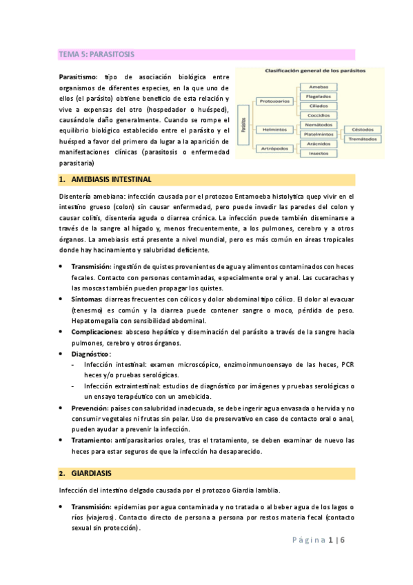 Miniatura del documento TEMA-5-MICRO.pdf