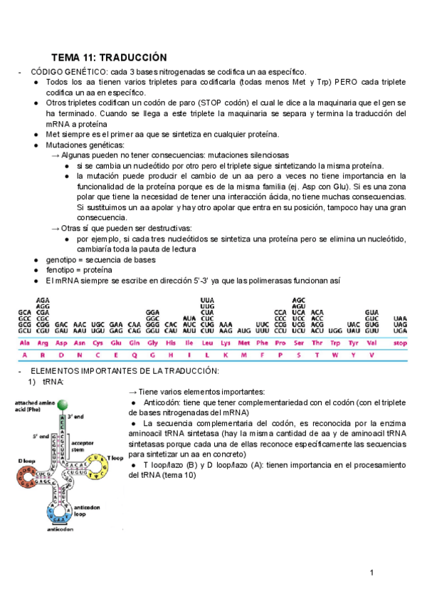 Miniatura del documento BIOQUIMICA-TEMA-11.pdf