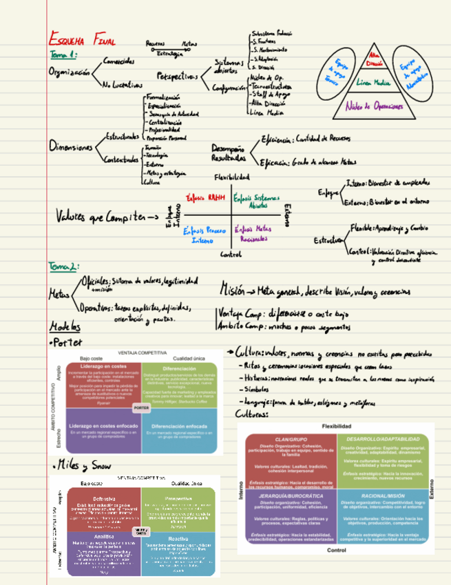 Miniatura del documento Organizacion-Y-Diseno.pdf