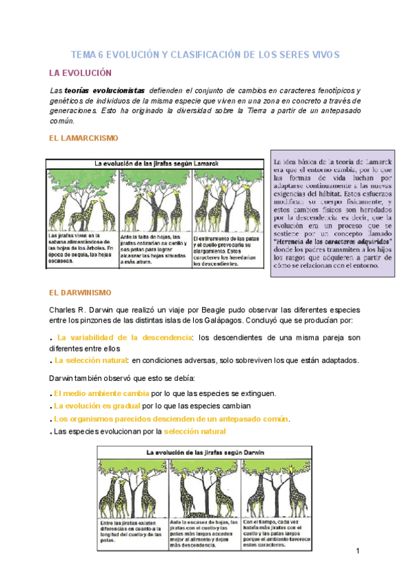 Miniatura del documento TEMA-6-EVOLUCION-Y-CLASIFICACION-DE-LOS-SERES-VIVOS-Y-TEMA-5-DATACION-E-HISTORIA-DE-LA-TIERRA.pdf