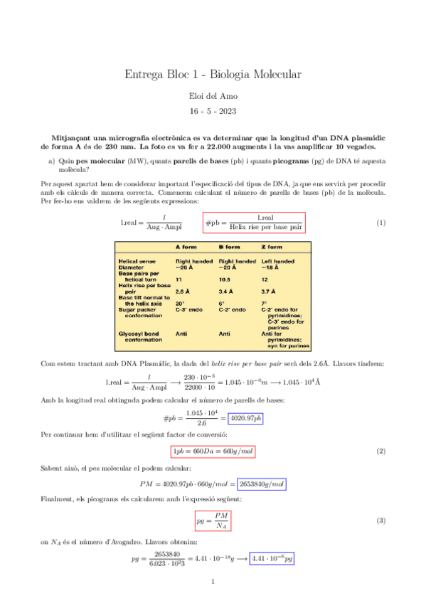 Miniatura del documento Bloc-1-Entrega-BioMol.pdf