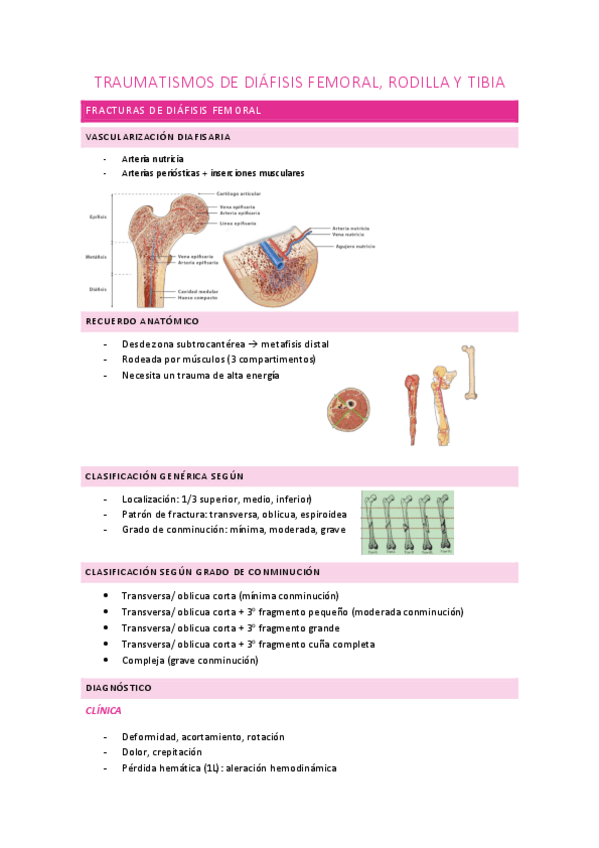 Miniatura del documento traumatismos-de-diafisis-femoral-rodilla-y-tibia.pdf