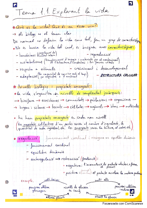 Miniatura del documento Apunts-Bloc-1.pdf
